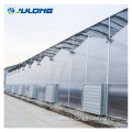 multi-span polycarbonate tomato hydroponic greenhouse